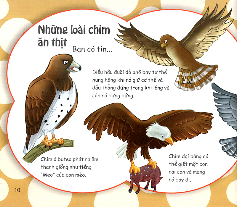 những điều kỳ thú - thú vị các loài chim - Ảnh 11