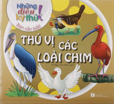 những điều kỳ thú - thú vị các loài chim - Ảnh 2