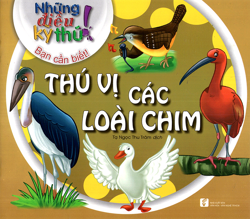 những điều kỳ thú - thú vị các loài chim - Ảnh 3