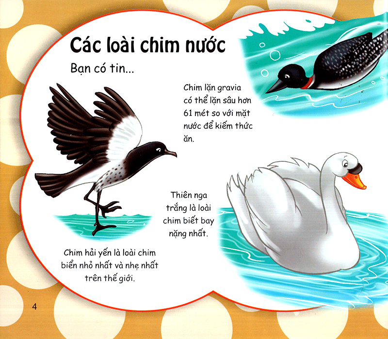 những điều kỳ thú - thú vị các loài chim - Ảnh 4