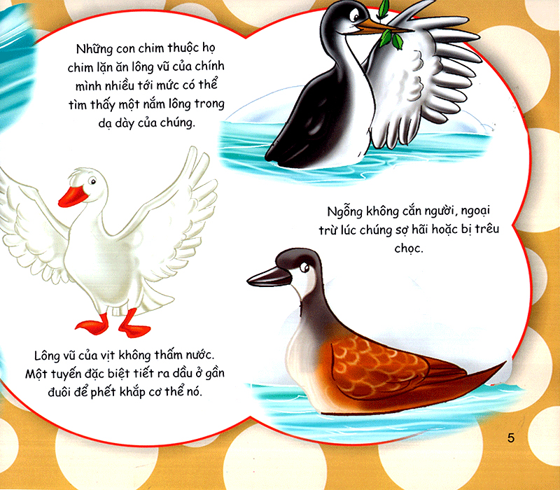 những điều kỳ thú - thú vị các loài chim - Ảnh 5