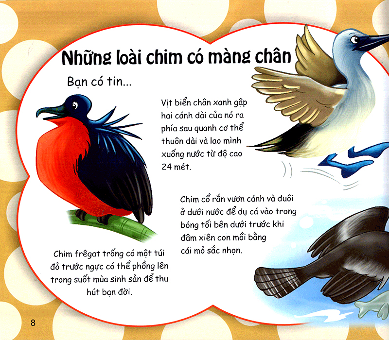 những điều kỳ thú - thú vị các loài chim - Ảnh 9