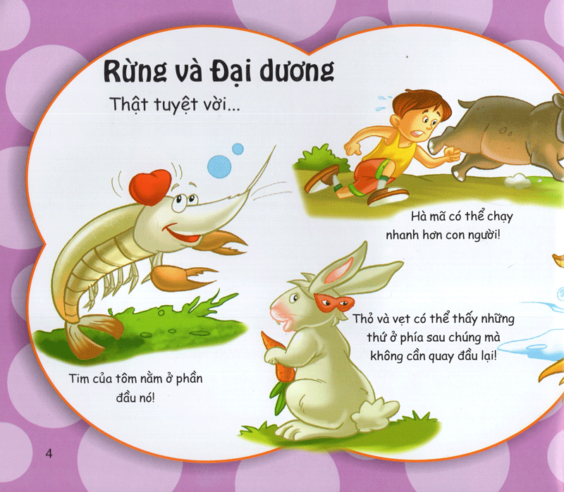 những điều kỳ thú - vô cùng thú vị - Ảnh 3