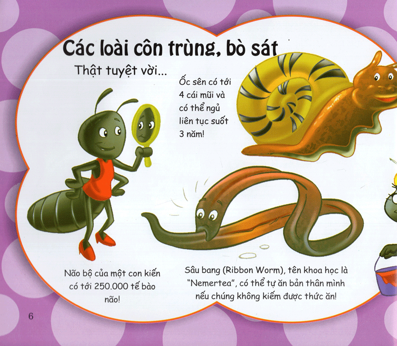 những điều kỳ thú - vô cùng thú vị - Ảnh 5