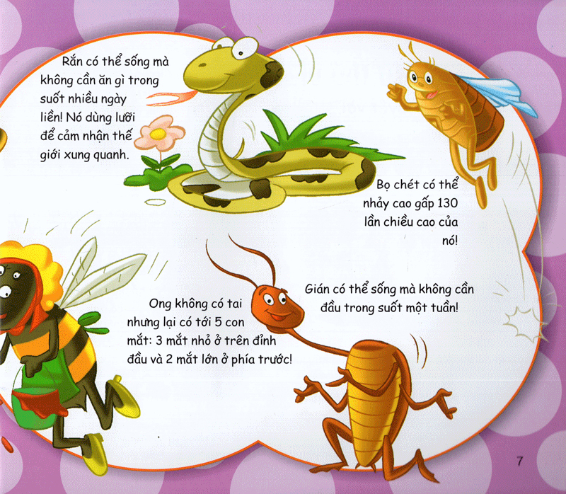 những điều kỳ thú - vô cùng thú vị - Ảnh 6