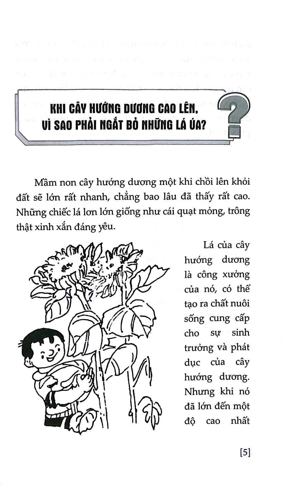 những điều lạ em muốn biết - hiểu về thực vật - Ảnh 6