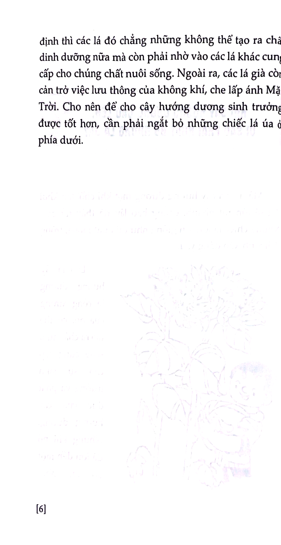 những điều lạ em muốn biết - hiểu về thực vật - Ảnh 7