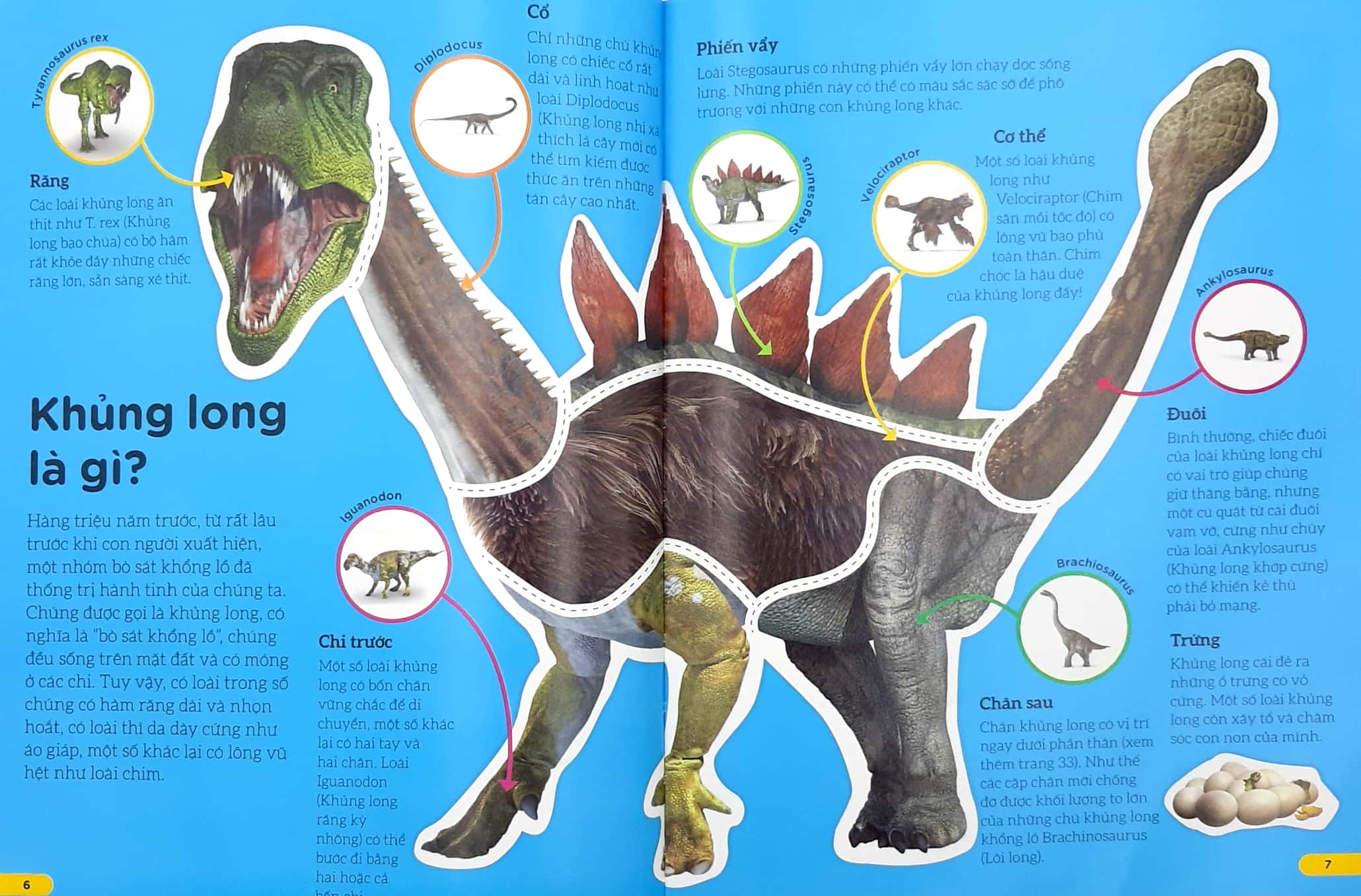 những điều sách giáo khoa không dạy bạn: khủng long - Ảnh 4