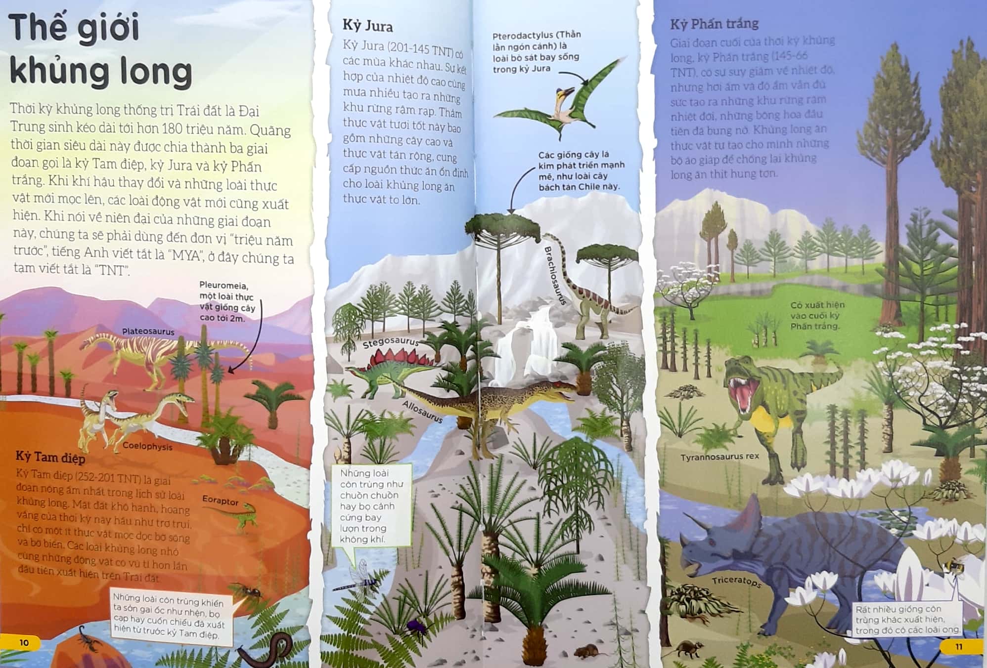 những điều sách giáo khoa không dạy bạn: khủng long - Ảnh 6