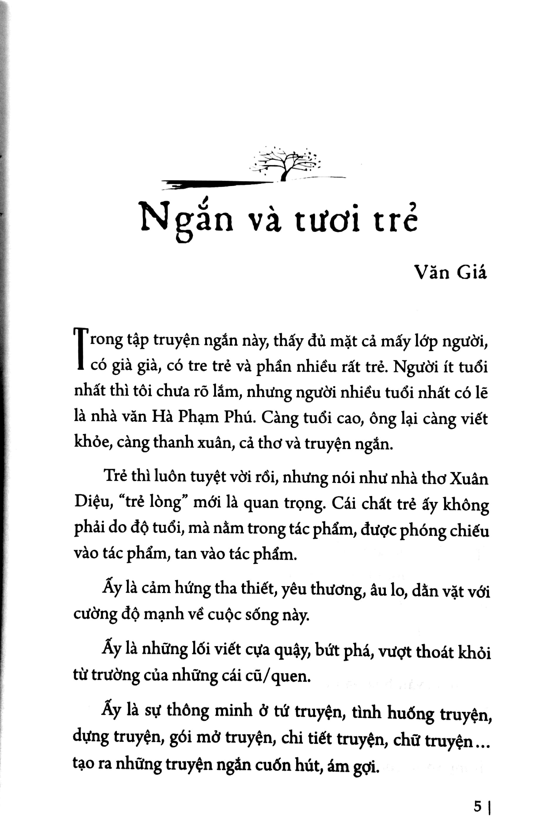 những đoản khúc mơ - Ảnh 4