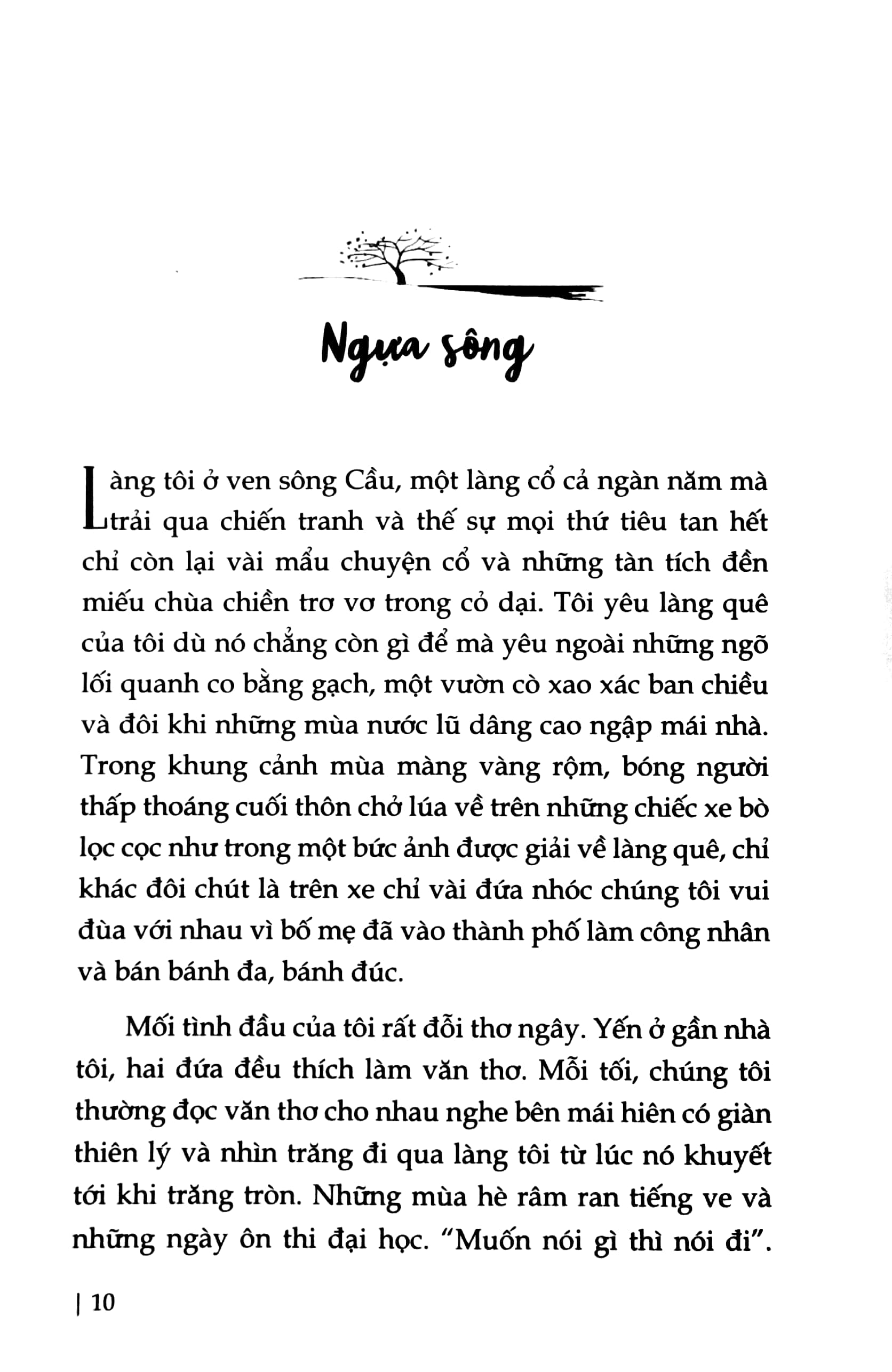 những đoản khúc mơ - Ảnh 5
