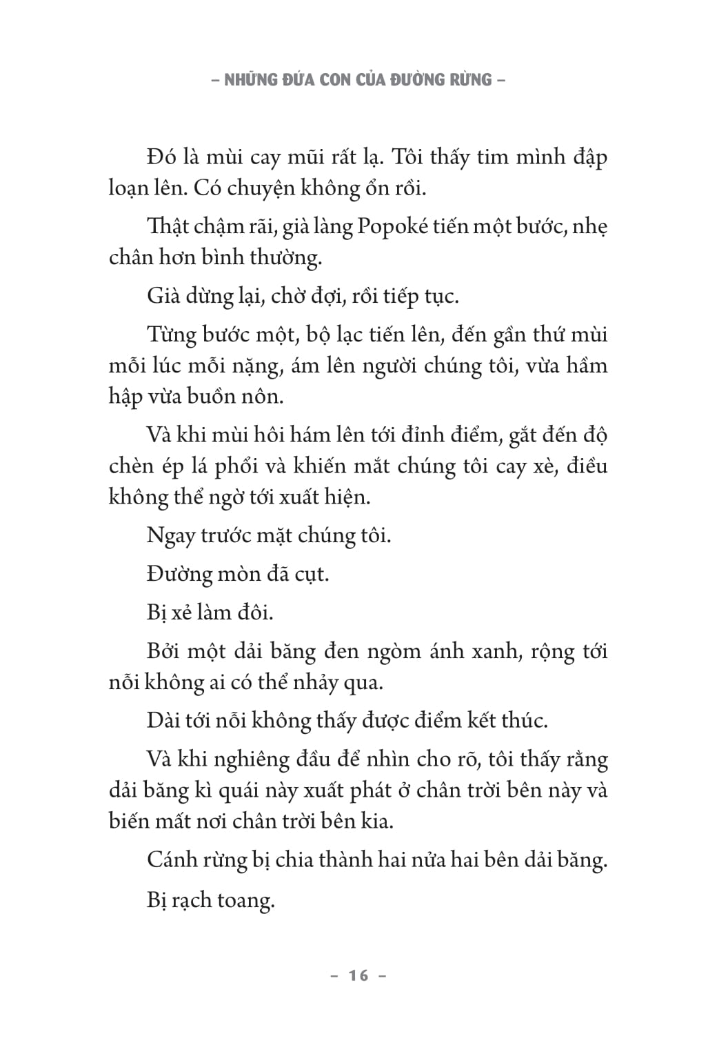 những đứa con của đường rừng - Ảnh 12