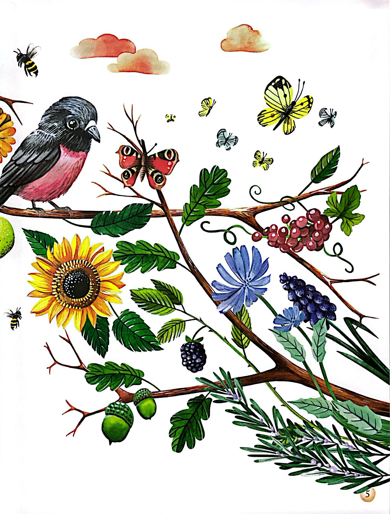 những gam màu rực rỡ của thiên nhiên - Ảnh 5