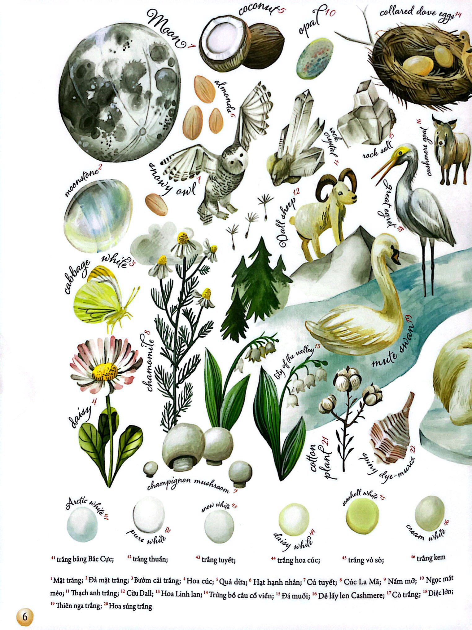 những gam màu rực rỡ của thiên nhiên - Ảnh 6