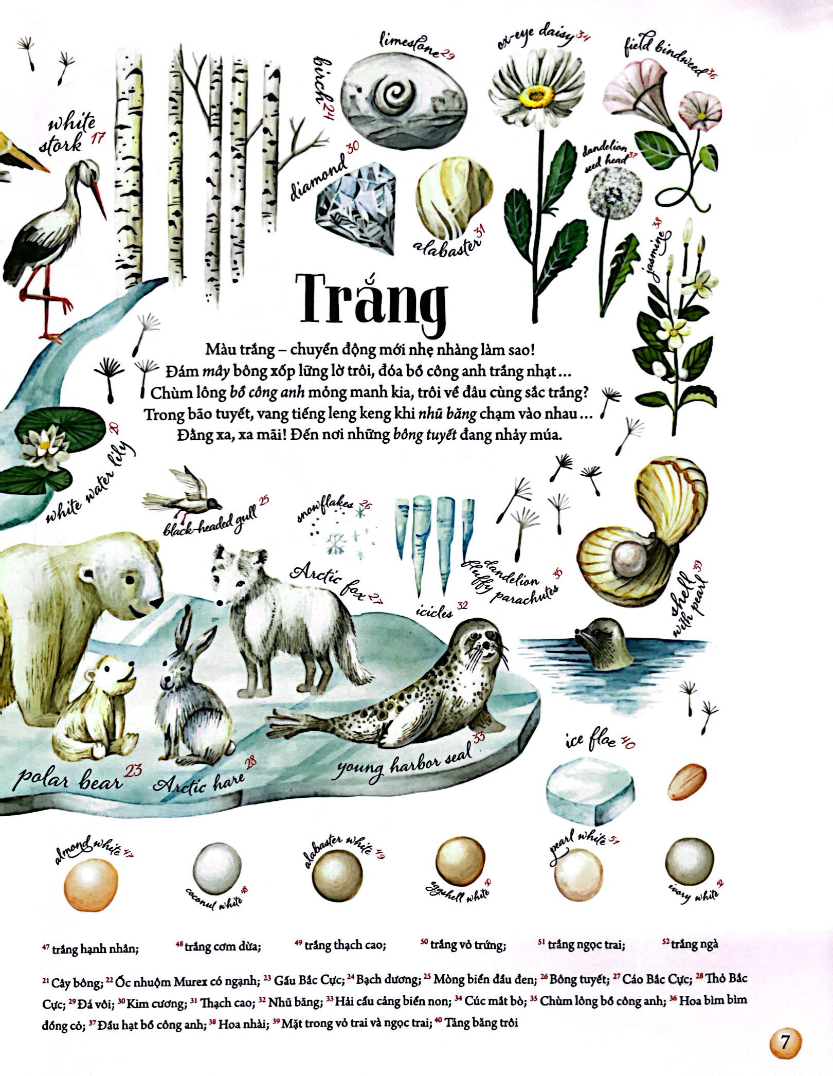 những gam màu rực rỡ của thiên nhiên - Ảnh 7