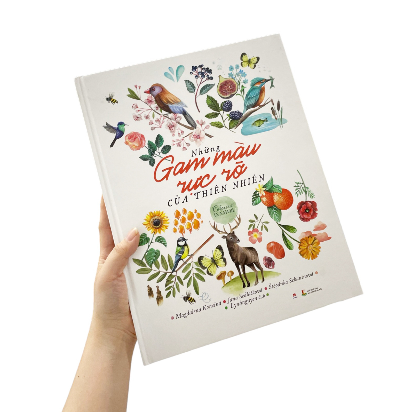 những gam màu rực rỡ của thiên nhiên - Ảnh 9