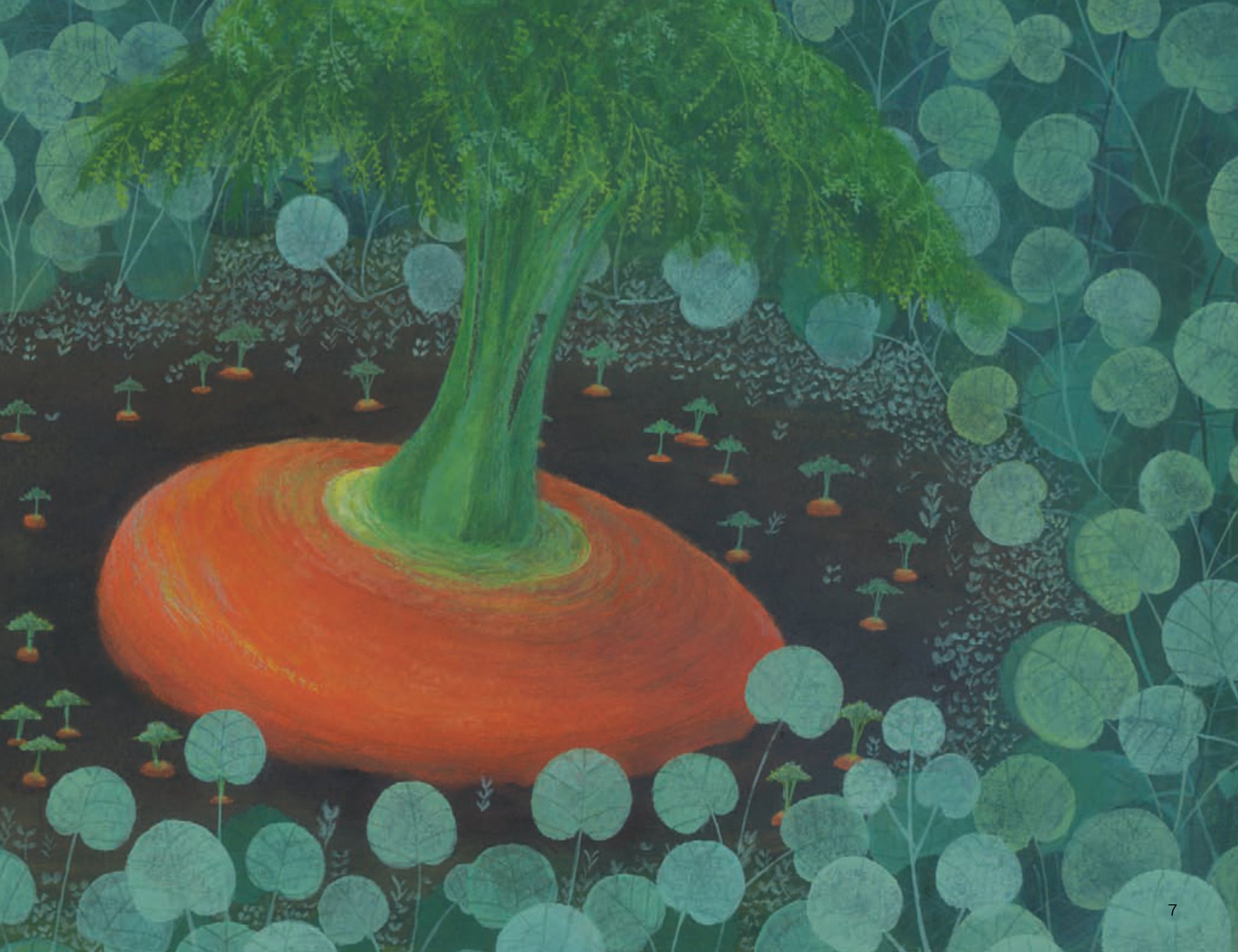 những giấc mơ xinh - củ cà rốt thật là to - Ảnh 4