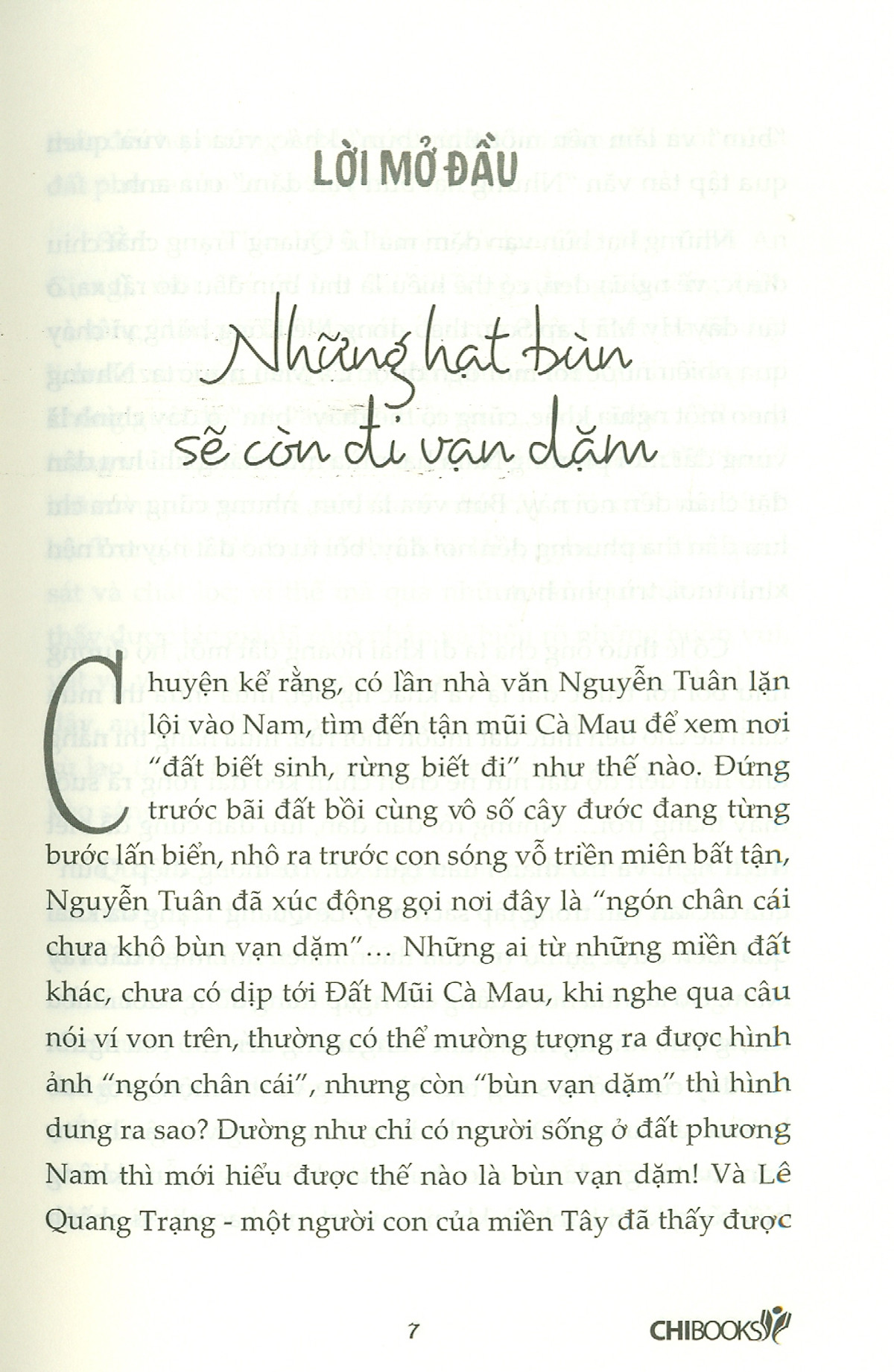 những hạt bùn vạn dặm - Ảnh 5