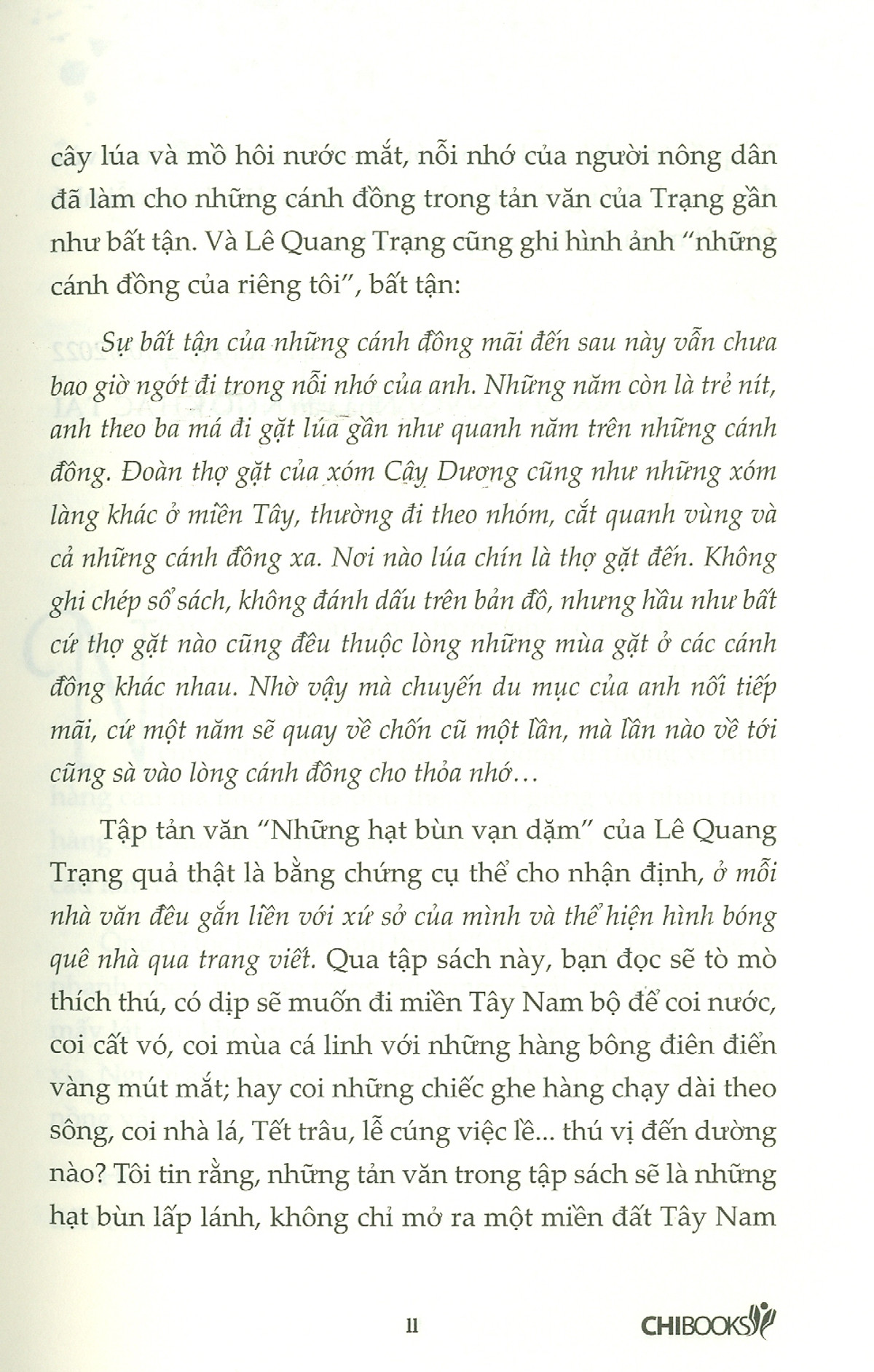 những hạt bùn vạn dặm - Ảnh 9