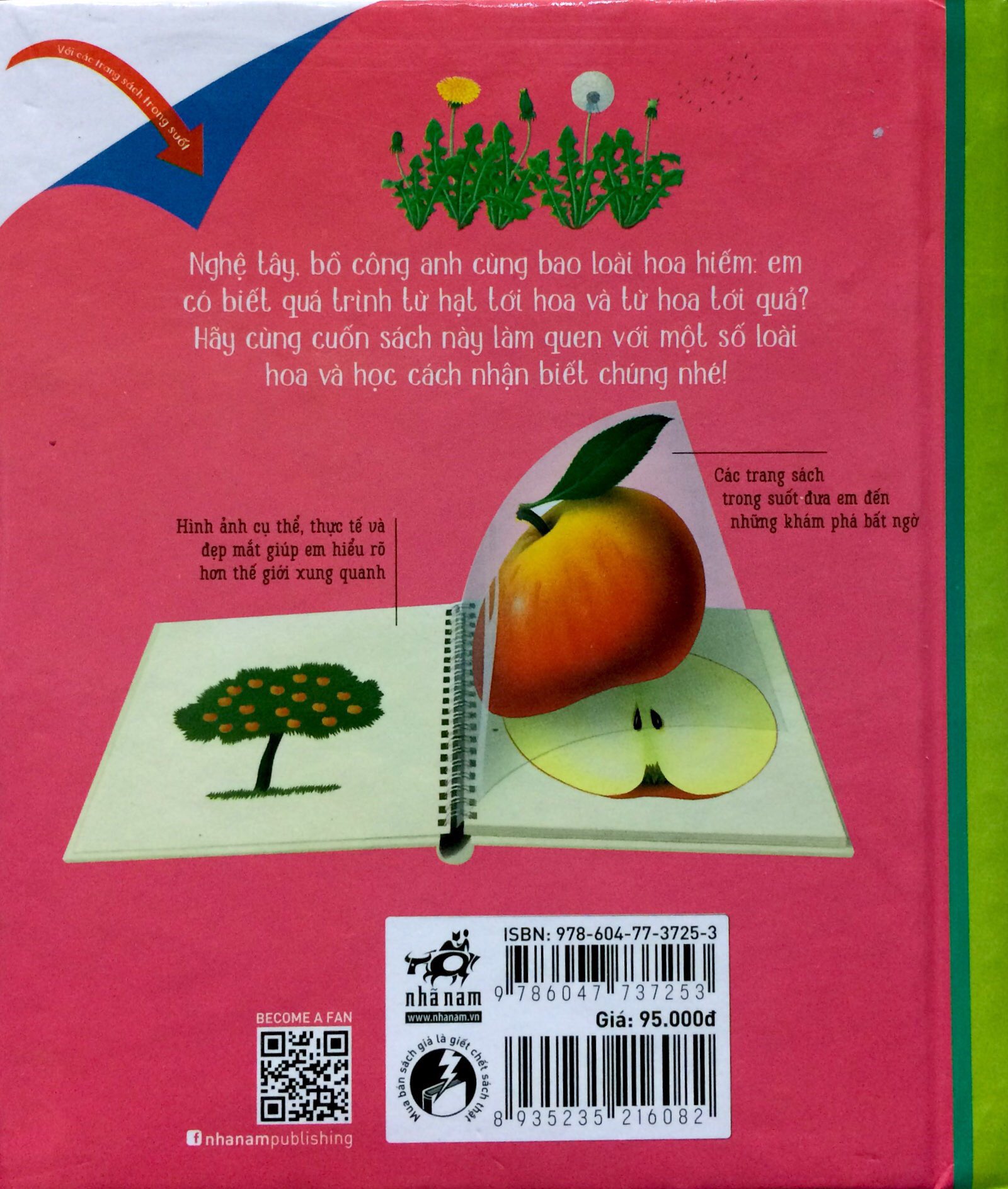 những khám phá đầu tiên của tớ - hoa - Ảnh 5