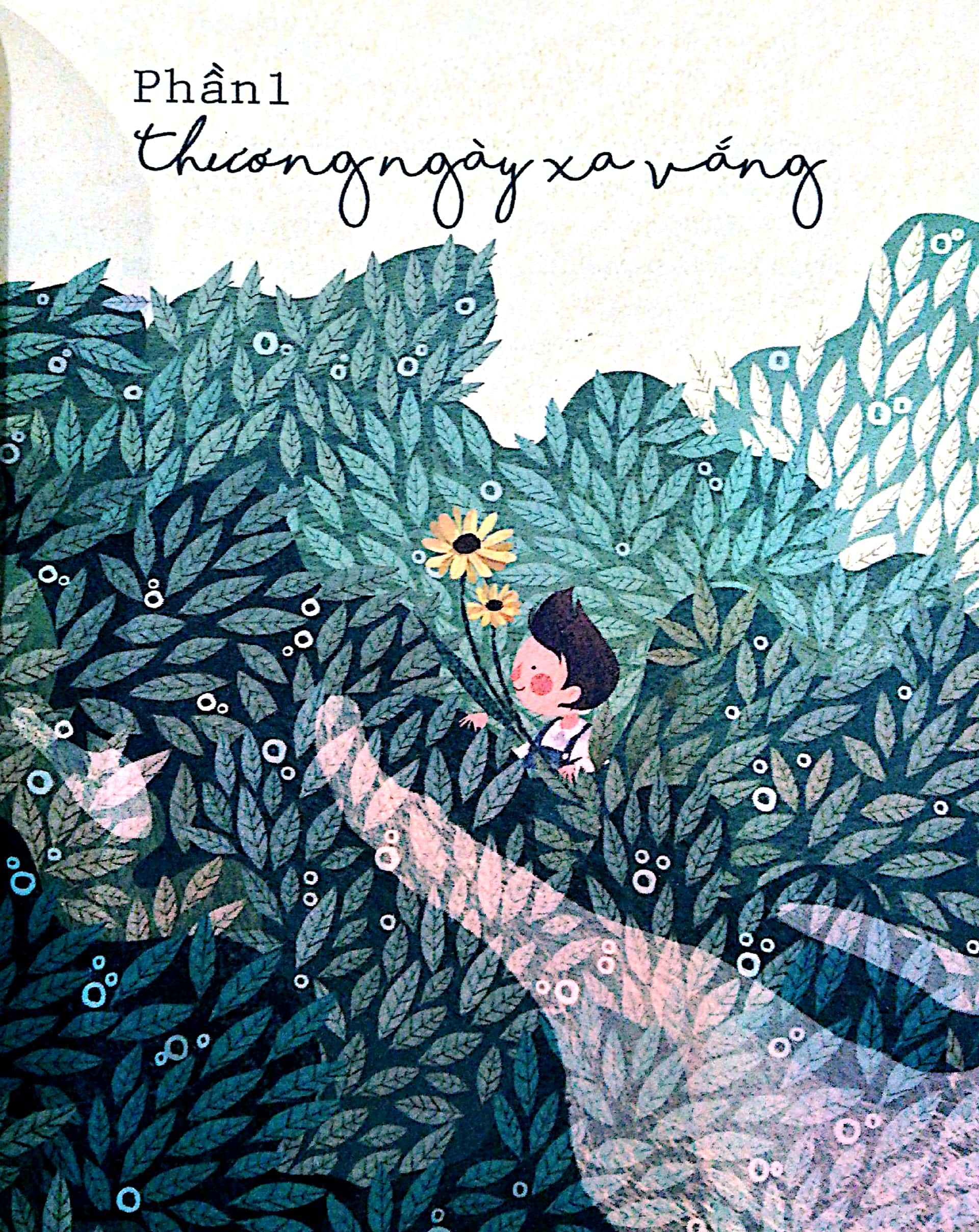 những khúc hát thương nhau - Ảnh 13