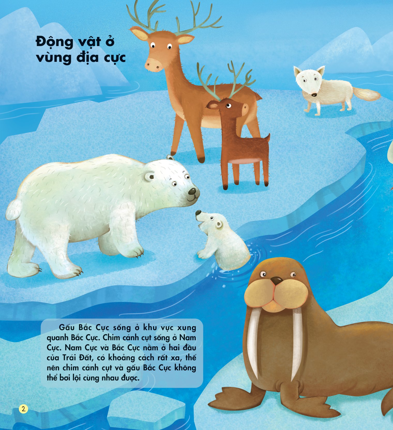 những kiến thức đầu đời cho bé - động vật đáng yêu - Ảnh 3