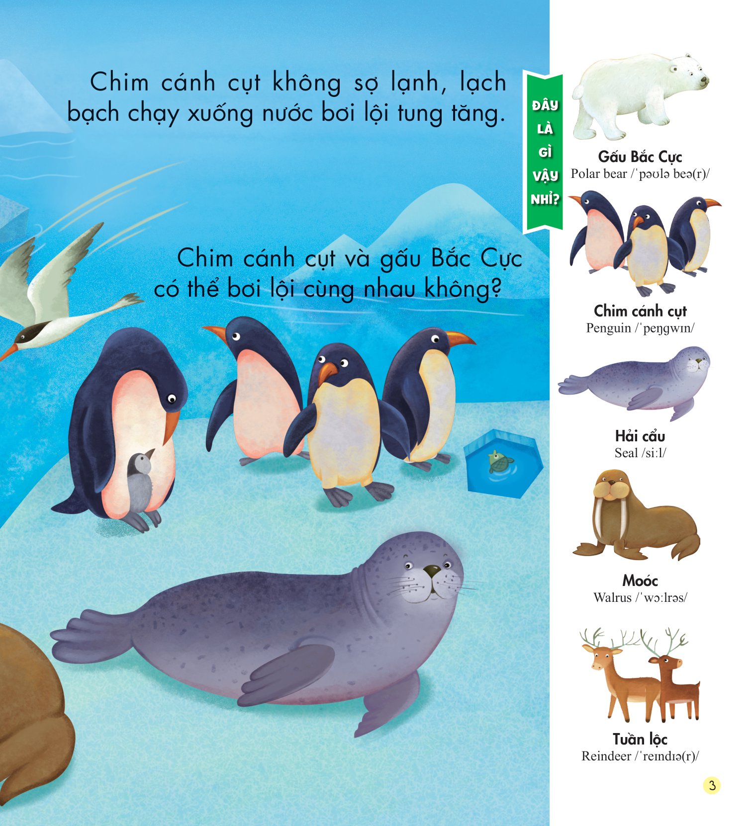 những kiến thức đầu đời cho bé - động vật đáng yêu - Ảnh 4