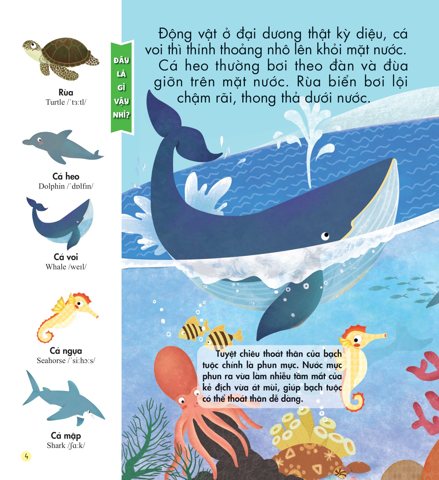 những kiến thức đầu đời cho bé - động vật đáng yêu - Ảnh 5