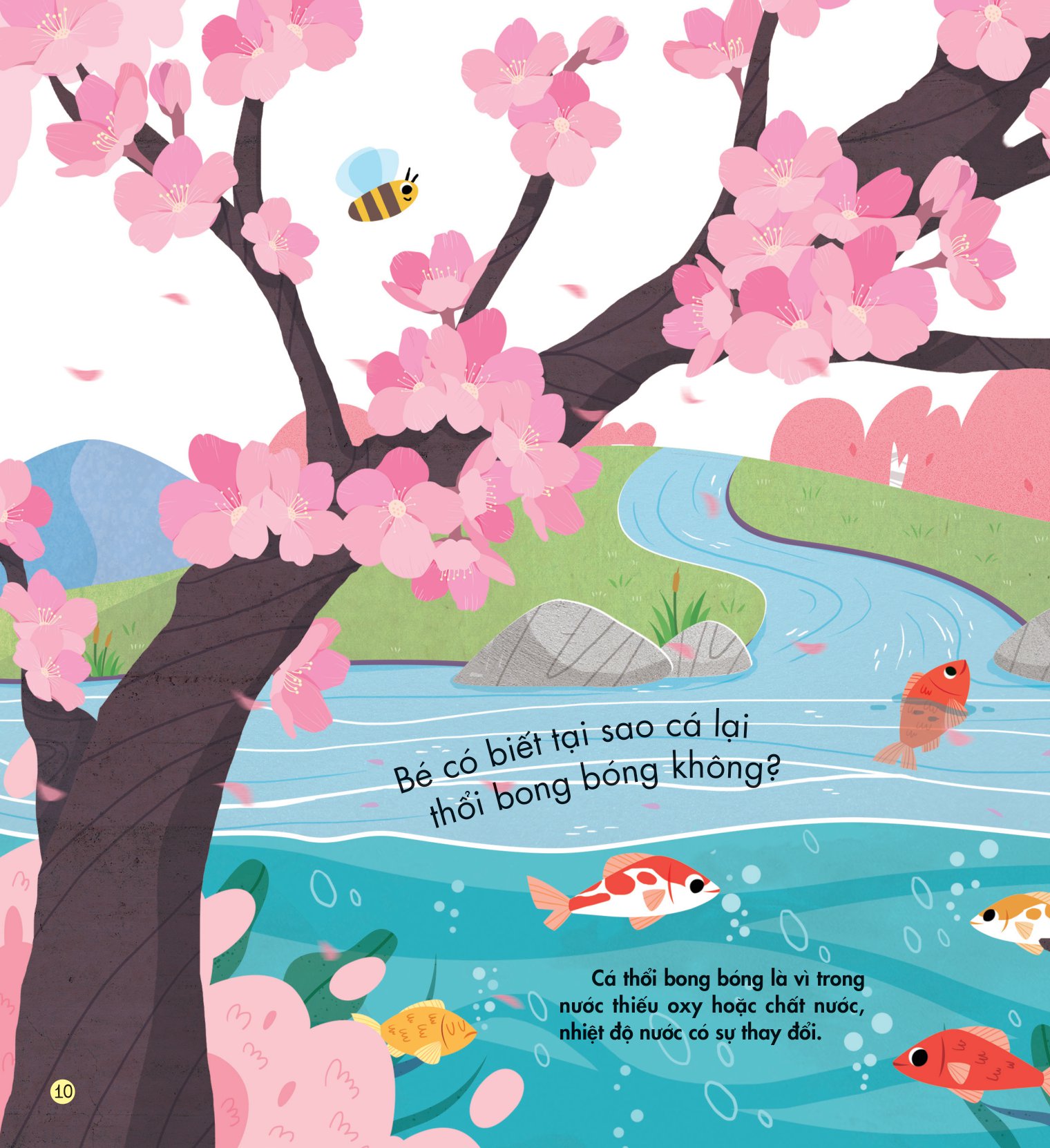 những kiến thức đầu đời cho bé - màu sắc rực rỡ - Ảnh 11