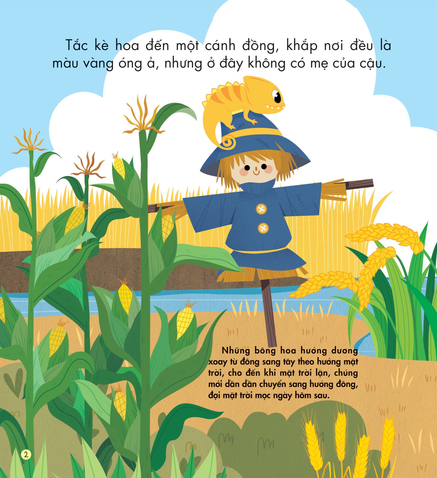 những kiến thức đầu đời cho bé - màu sắc rực rỡ - Ảnh 3