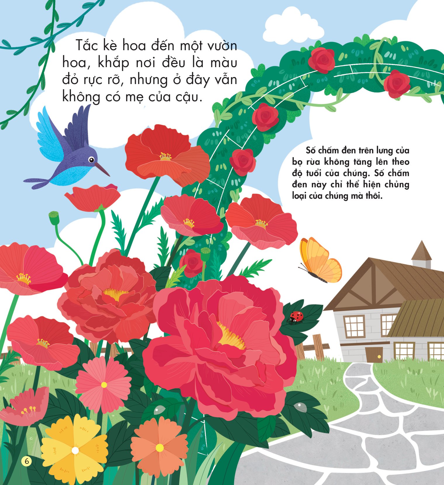 những kiến thức đầu đời cho bé - màu sắc rực rỡ - Ảnh 7