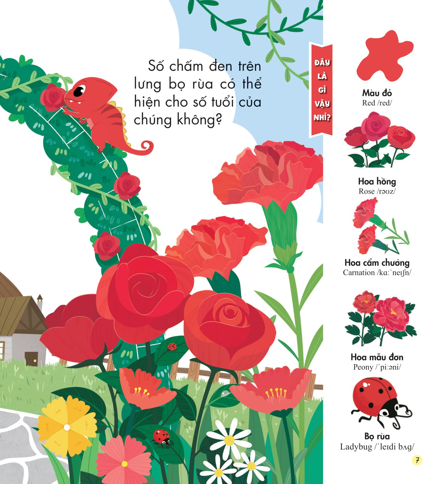 những kiến thức đầu đời cho bé - màu sắc rực rỡ - Ảnh 8