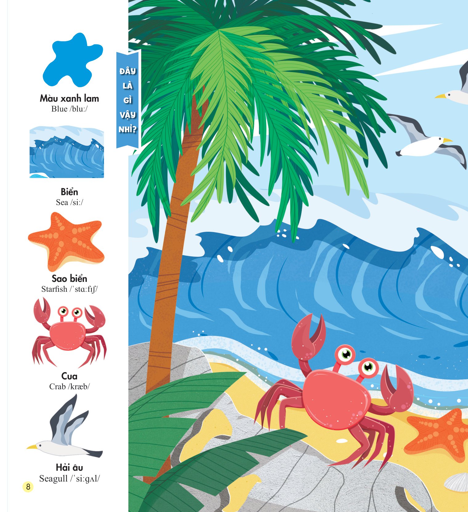 những kiến thức đầu đời cho bé - màu sắc rực rỡ - Ảnh 9