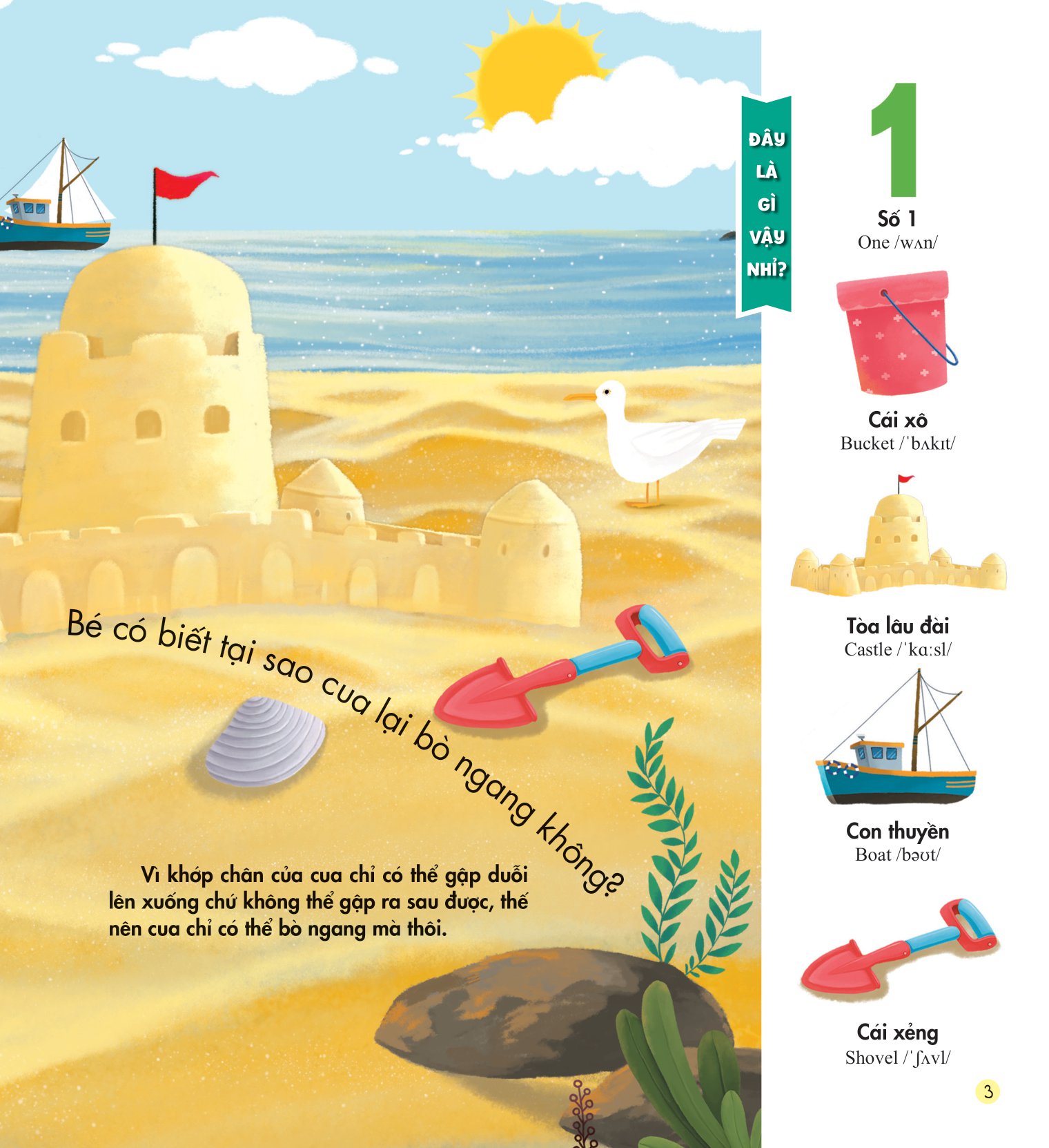 những kiến thức đầu đời cho bé - số đếm vui nhộn - Ảnh 4