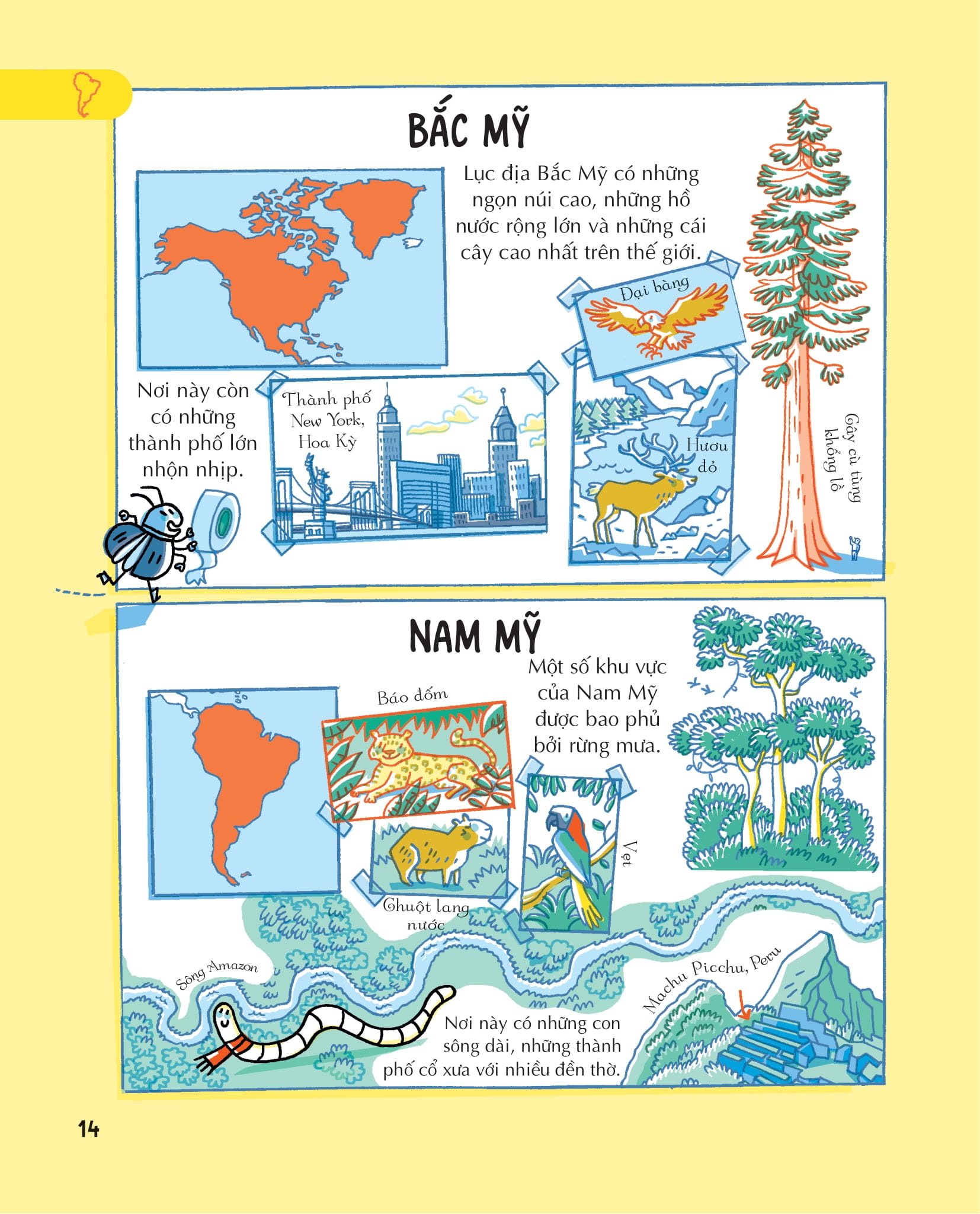 những kiến thức địa lý thiết yếu dành cho học sinh tiểu học - Ảnh 14