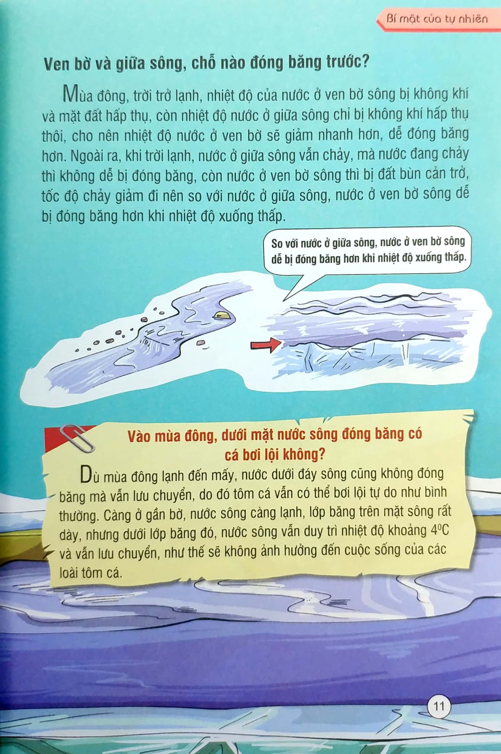 những kiến thức khoa học dễ hiểu sai - bí mật của tự nhiên - Ảnh 4