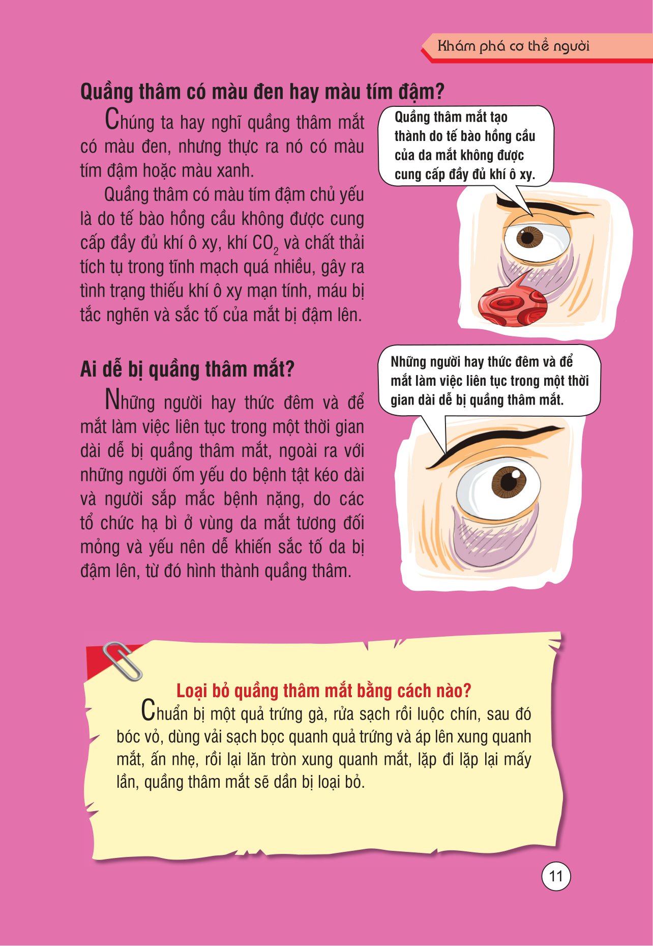 những kiến thức khoa học dễ hiểu sai - khám phá cơ thể người - Ảnh 12