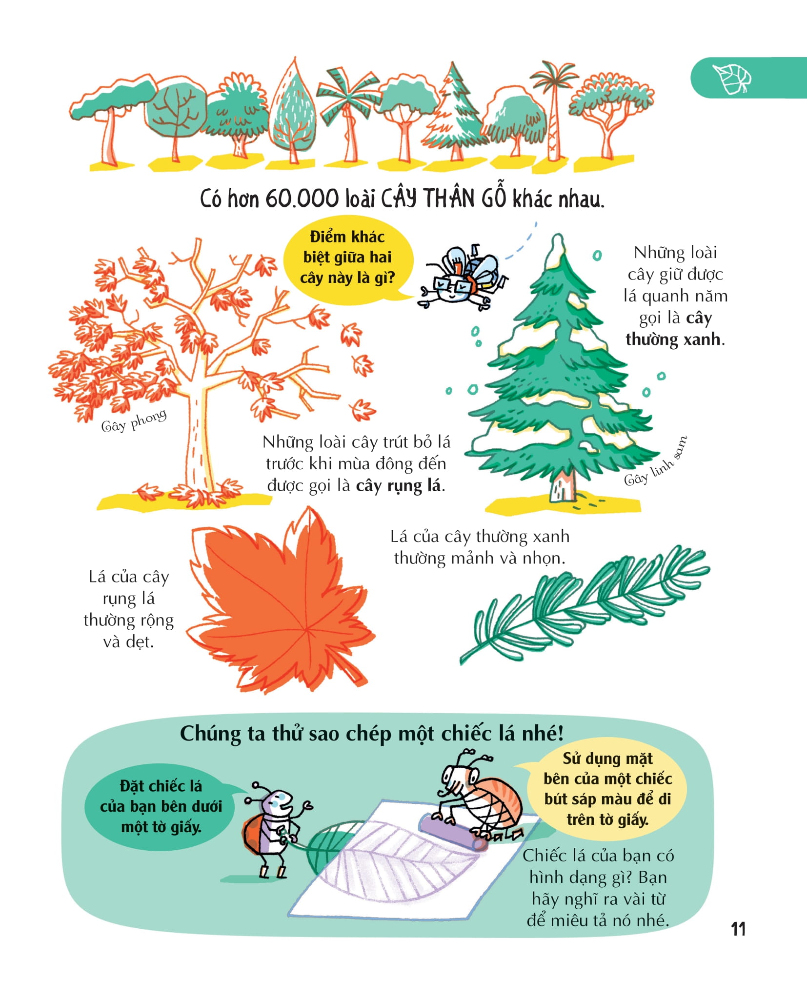 những kiến thức khoa học thiết yếu dành cho học sinh tiểu học - Ảnh 11