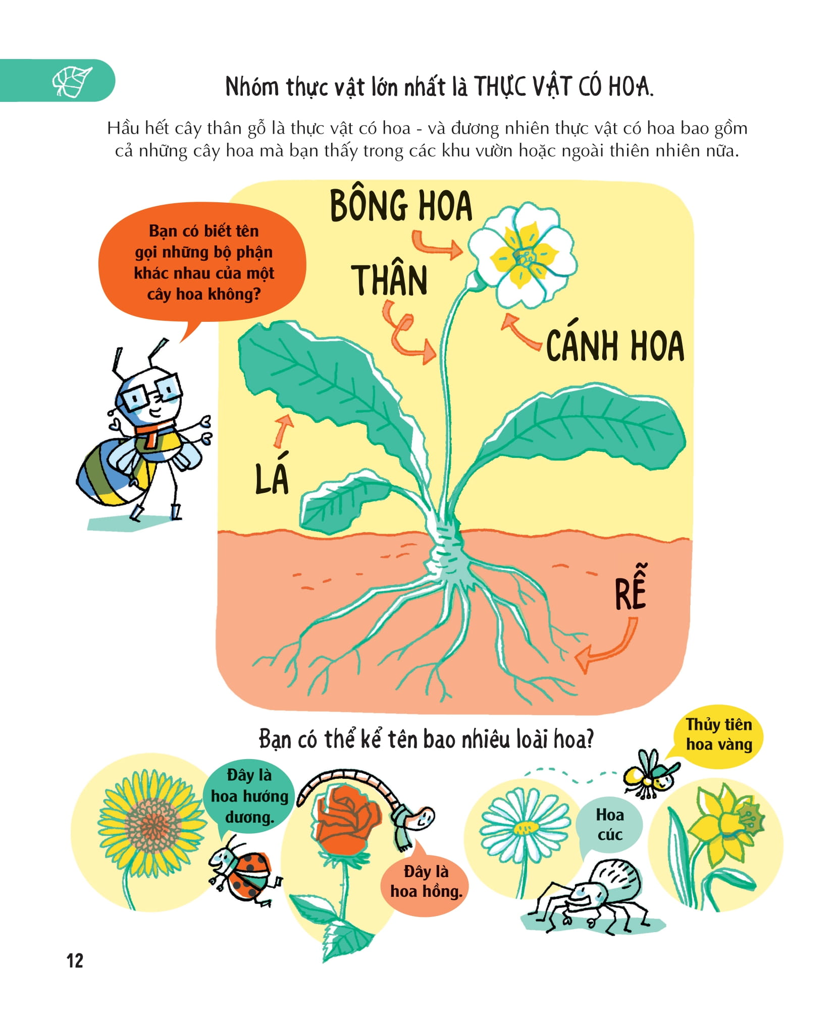 những kiến thức khoa học thiết yếu dành cho học sinh tiểu học - Ảnh 12