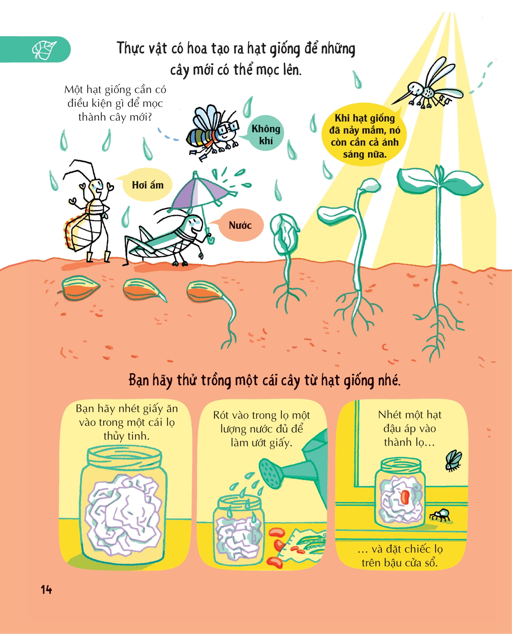 những kiến thức khoa học thiết yếu dành cho học sinh tiểu học - Ảnh 14