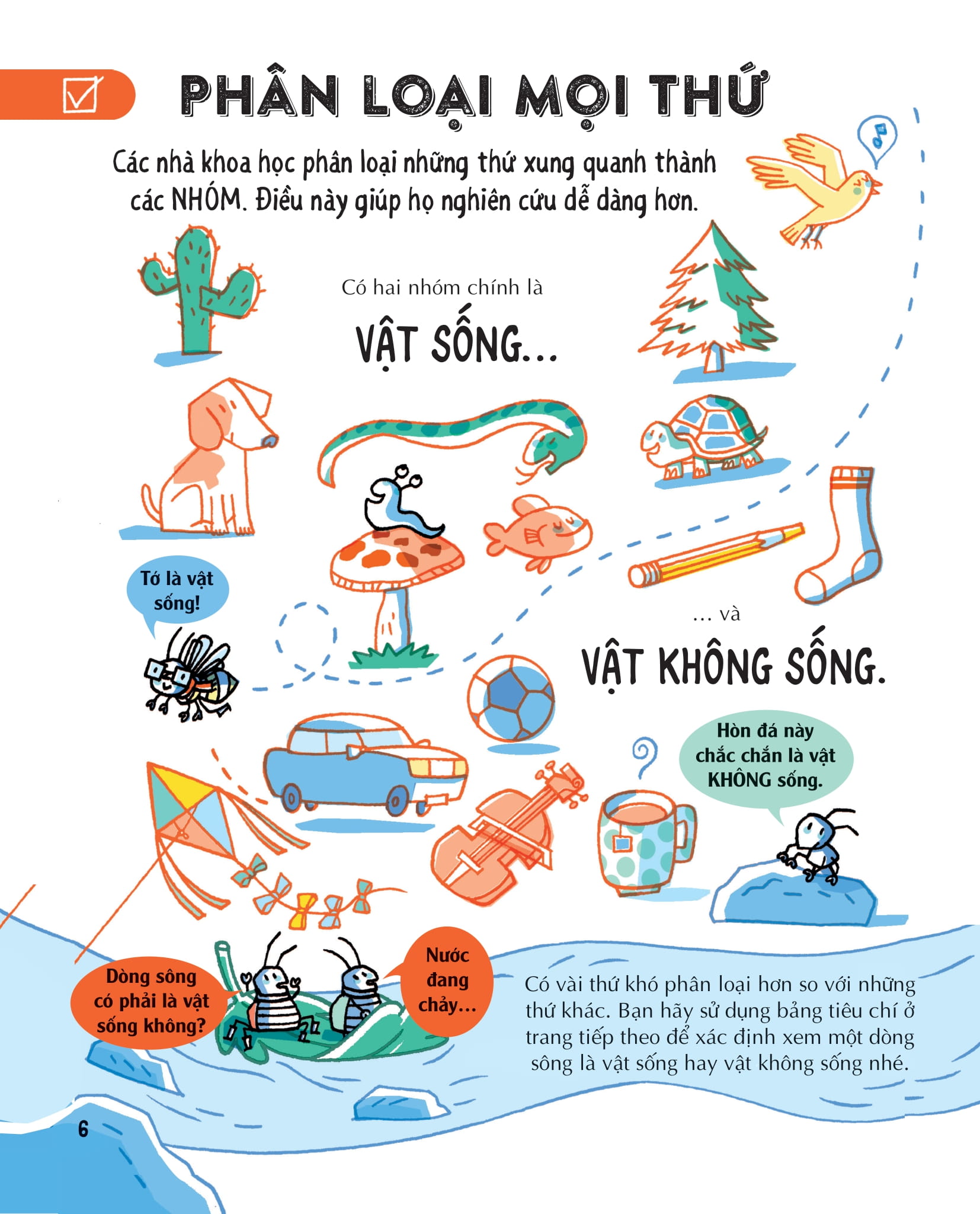 những kiến thức khoa học thiết yếu dành cho học sinh tiểu học - Ảnh 6