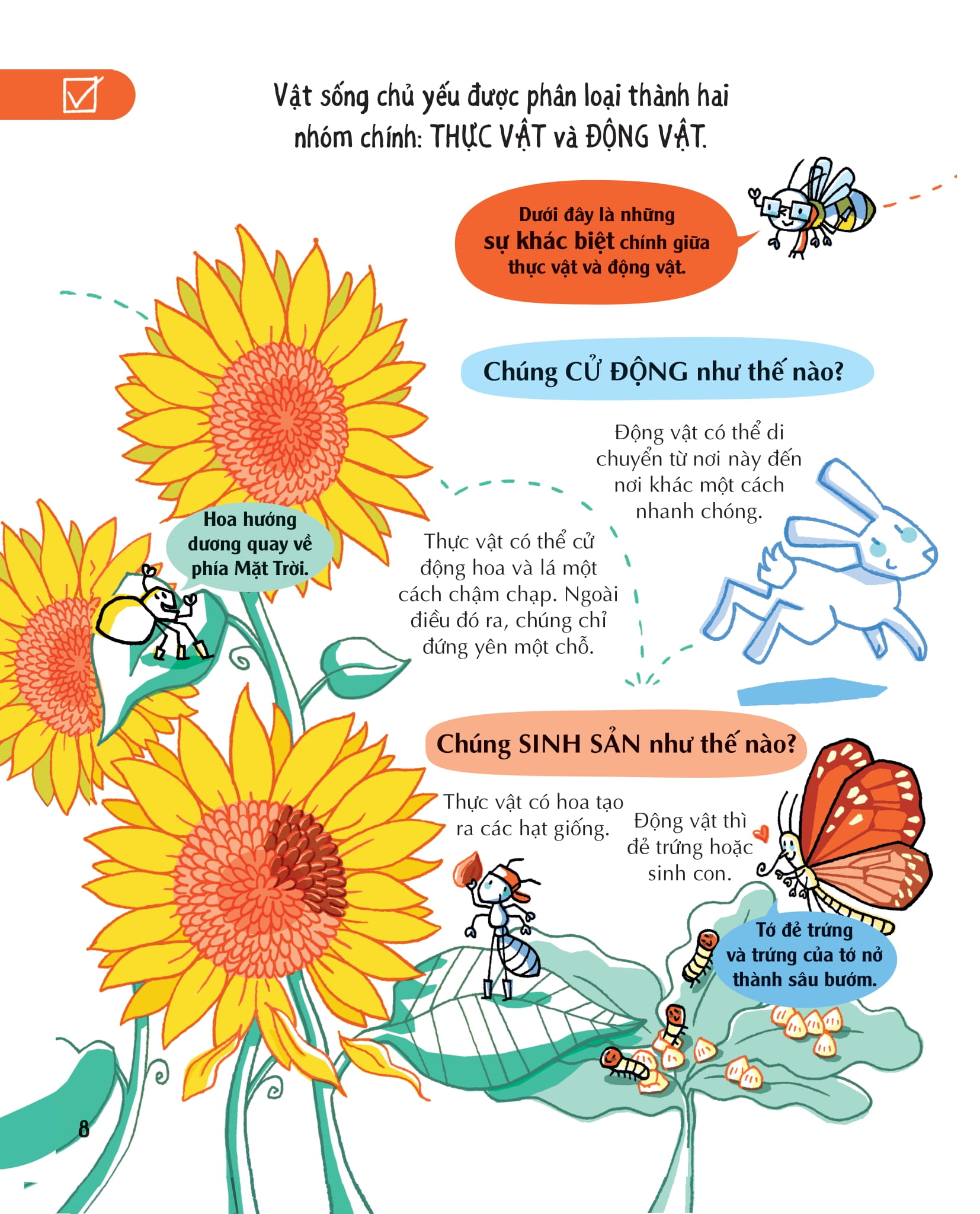 những kiến thức khoa học thiết yếu dành cho học sinh tiểu học - Ảnh 8