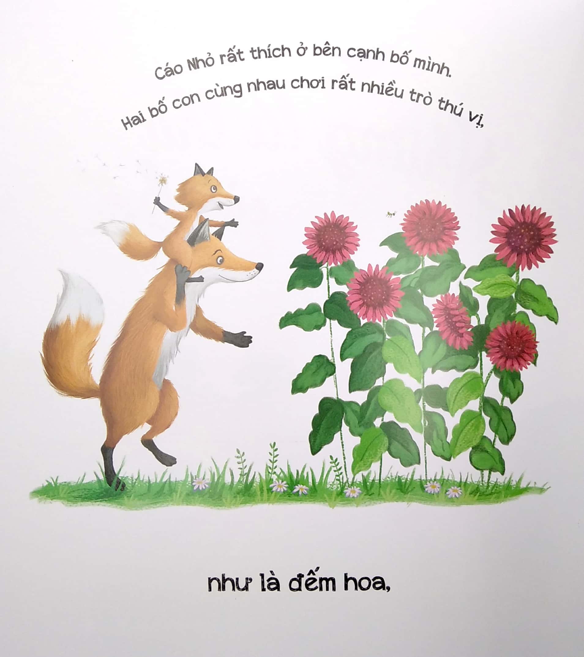 những lá thư của bố - Ảnh 3