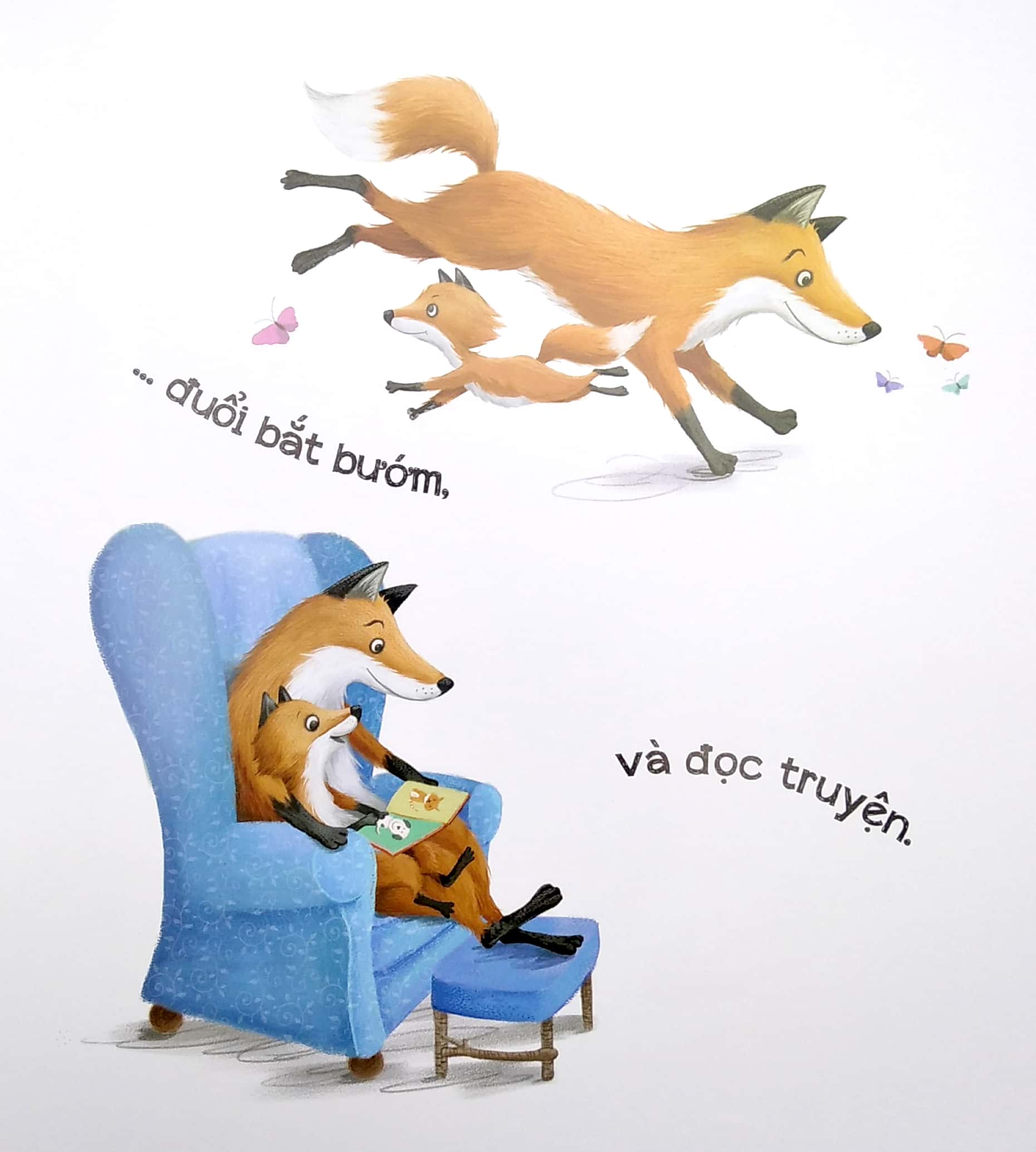 những lá thư của bố - Ảnh 4