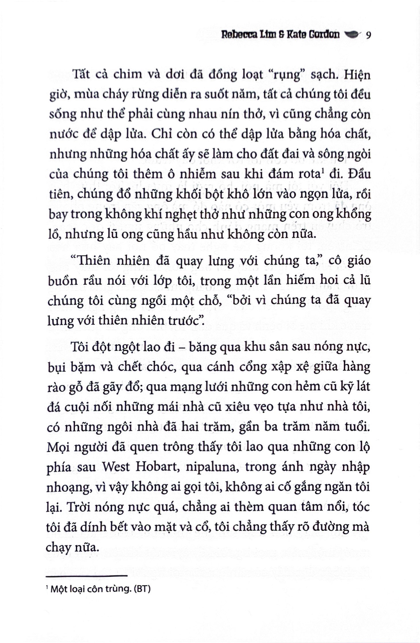 những lá thư từ hốc cây kỳ diệu - Ảnh 7