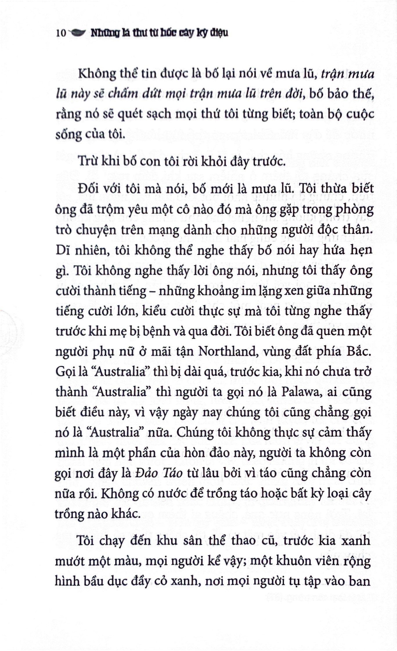 những lá thư từ hốc cây kỳ diệu - Ảnh 8