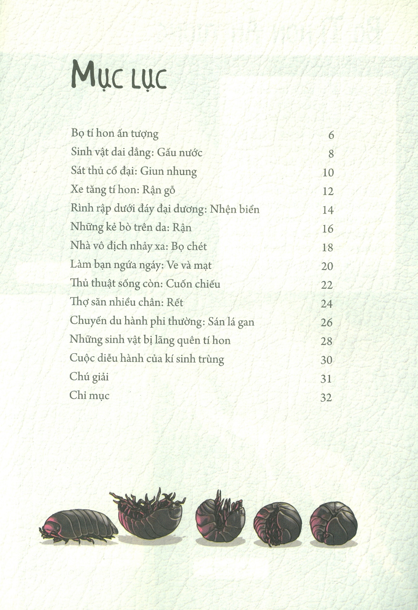 những loài bọ phá kỷ lục - bọ tí hon ấn tượng - Ảnh 3