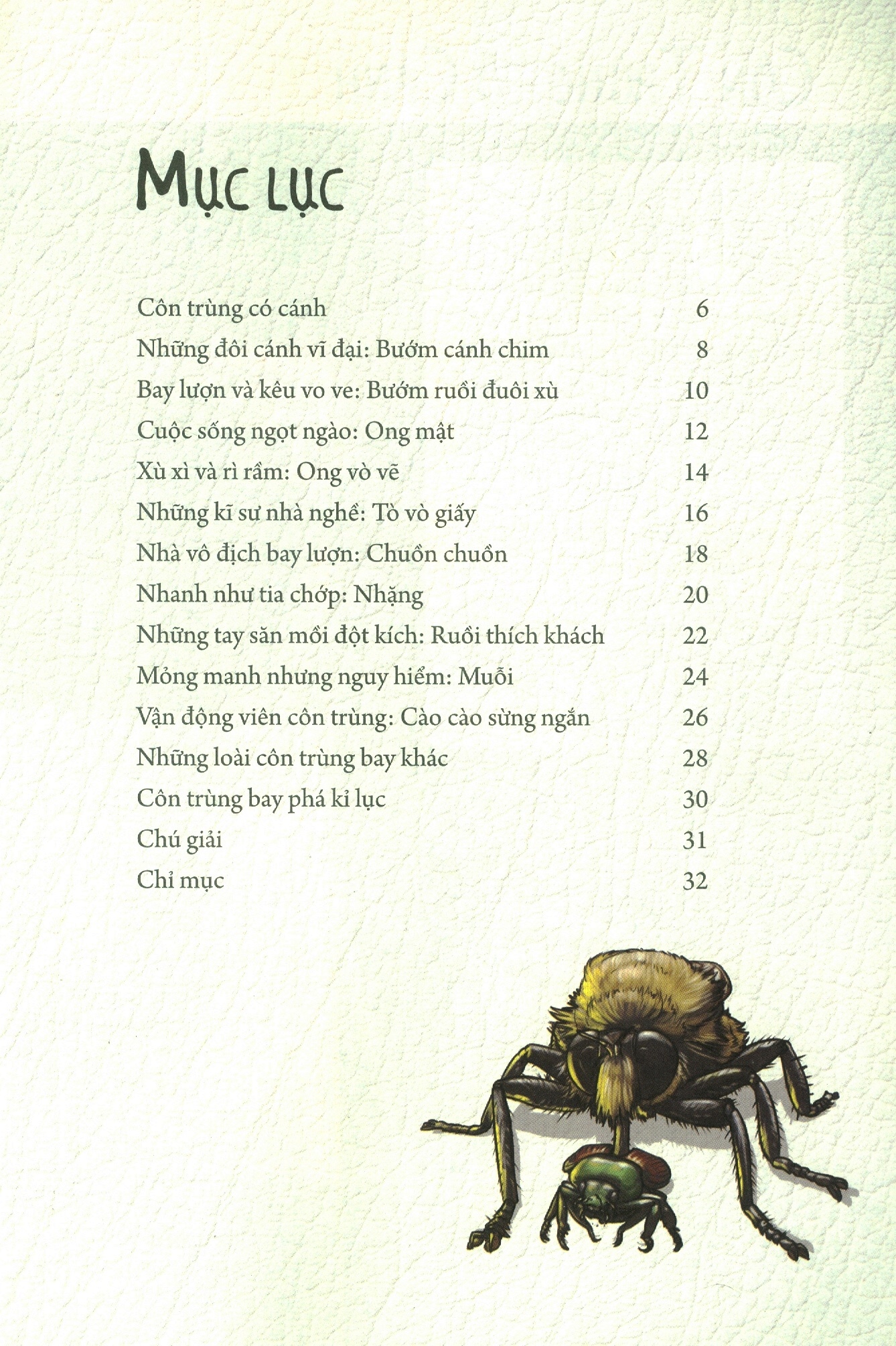 những loài bọ phá kỷ lục - côn trùng có cánh - Ảnh 3