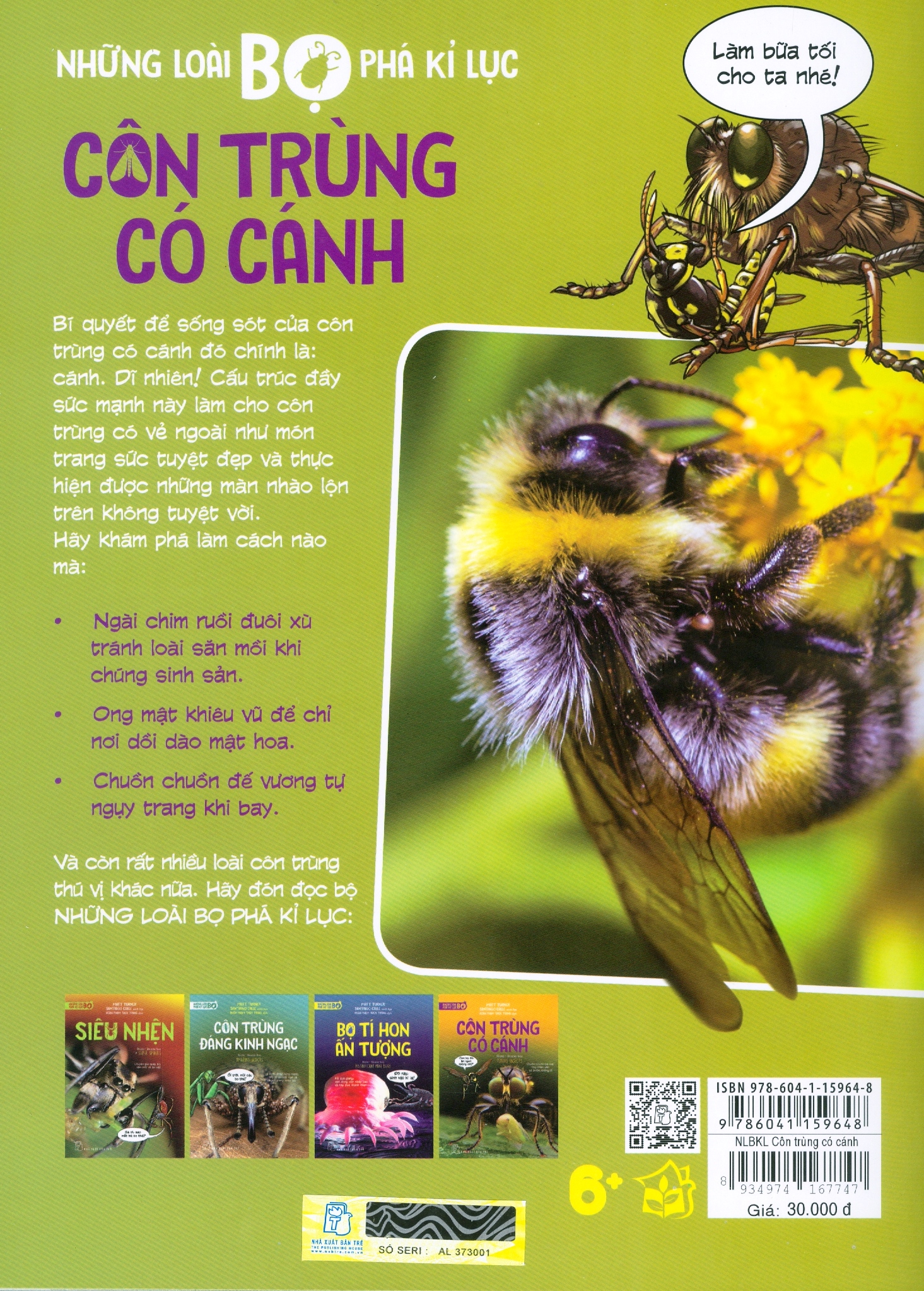 những loài bọ phá kỷ lục - côn trùng có cánh - Ảnh 5