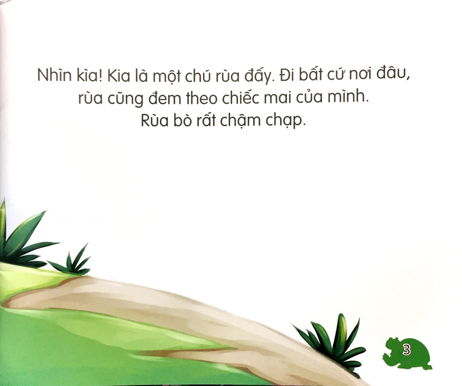 những loài vật đáng kinh ngạc - rùa chậm mà chắc - Ảnh 3